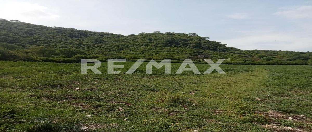 Foto de terreno habitacional en venta en ticumán , ticuman, tlaltizapán de zapata, morelos, 30343651 No. 05