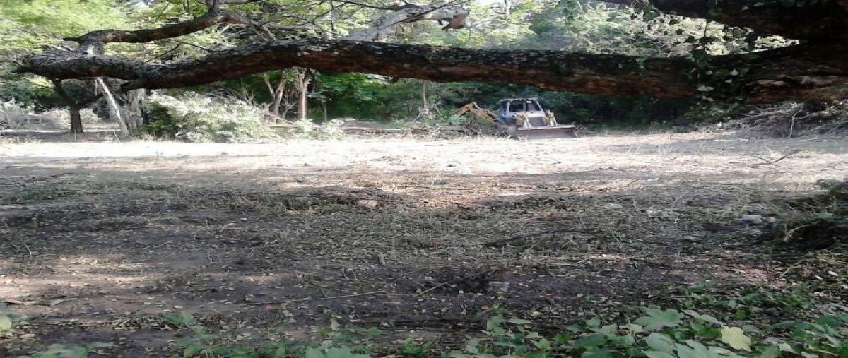 Foto de terreno habitacional en venta en  , ticuman, tlaltizapán de zapata, morelos, 26958938 No. 03