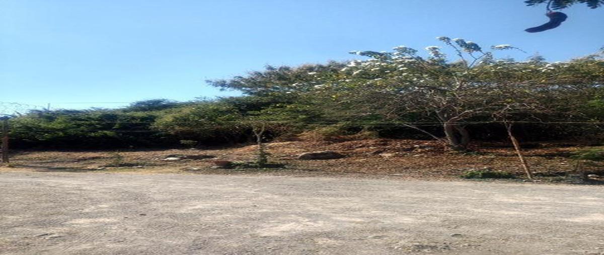 Foto de terreno habitacional en , ticuman, tlaltizapán de zapata, morelos, 0 foto 02 Foto de terreno habitacional en venta en , ticuman, tlaltizapán de zapata, morelos, 0 No. 02