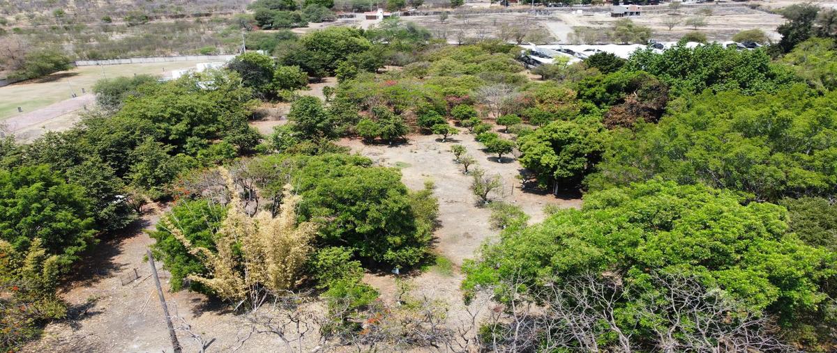 Foto de terreno habitacional en , ticuman, tlaltizapán de zapata, morelos, 30228753 foto 05 Foto de terreno habitacional en venta en , ticuman, tlaltizapán de zapata, morelos, 30228753 No. 05