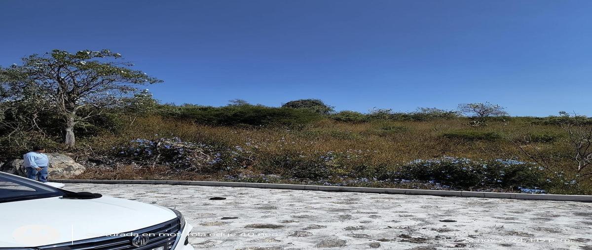 Foto de terreno habitacional en venta en  , ticuman, tlaltizapán de zapata, morelos, 31048651 No. 04