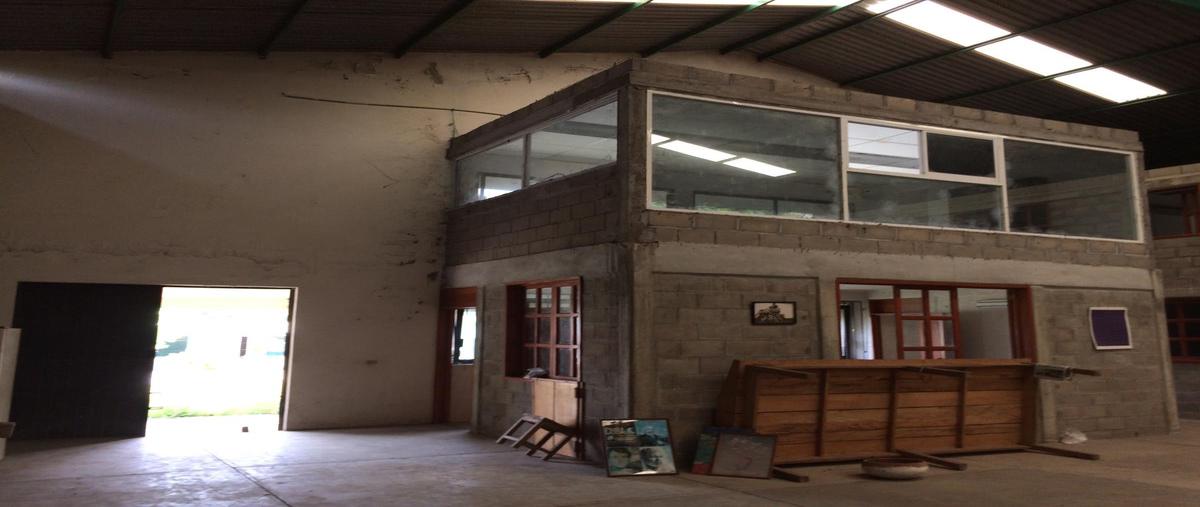 Foto de bodega en , tierra adentro 1a secc, jalpa de méndez, tabasco, 26105942 foto 03 Foto de bodega en renta en , tierra adentro 1a secc, jalpa de méndez, tabasco, 26105942 No. 03
