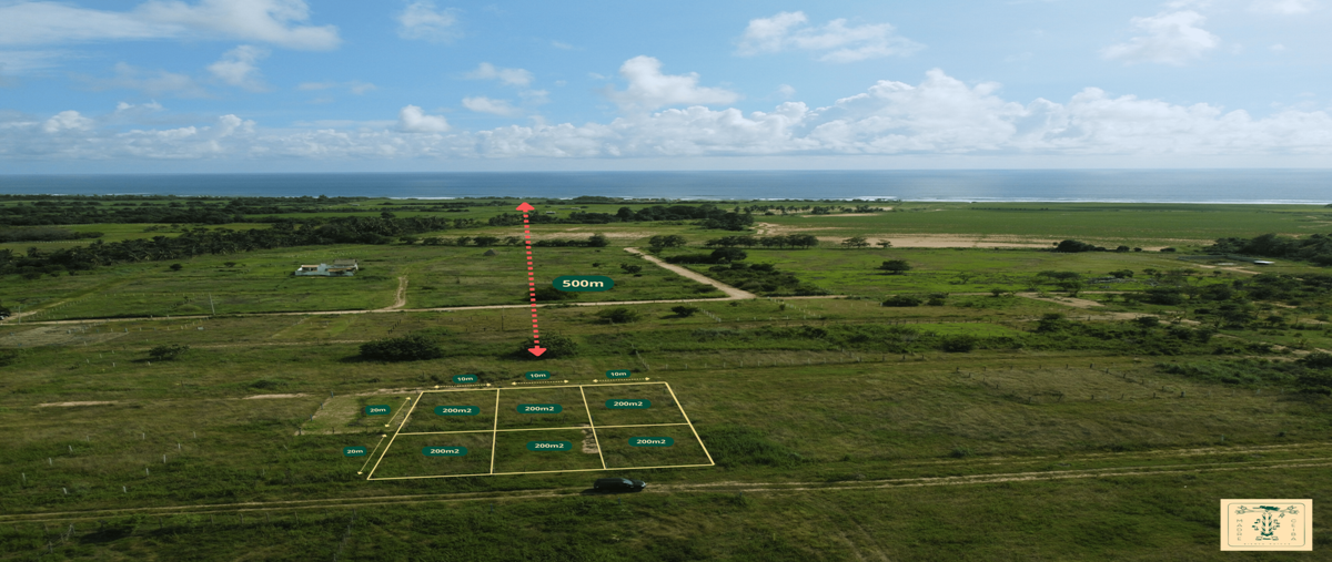 Foto de terreno habitacional en venta en tierra blanca , abajo, santa maría colotepec, oaxaca, 28566628 No. 03