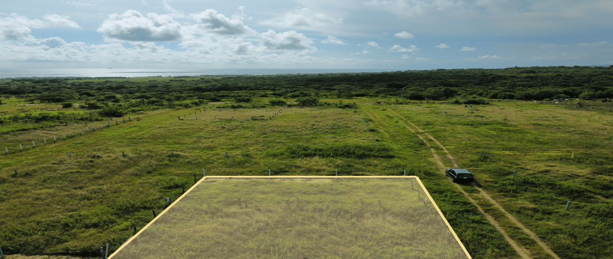 Foto de terreno habitacional en venta en tierra blanca , abajo, santa maría colotepec, oaxaca, 28566628 No. 05