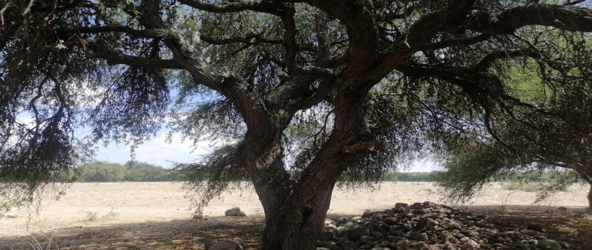 Foto de terreno habitacional en venta en tierra blanca de arriba, san miguel de allende, guanajuato , tierra blanca de arriba, san miguel de allende, guanajuato, 0 No. 02