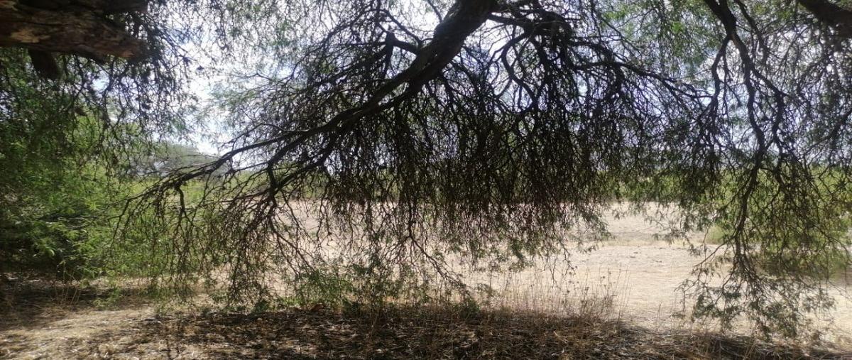 Foto de terreno habitacional en venta en tierra blanca de arriba, san miguel de allende, guanajuato , tierra blanca de arriba, san miguel de allende, guanajuato, 0 No. 05