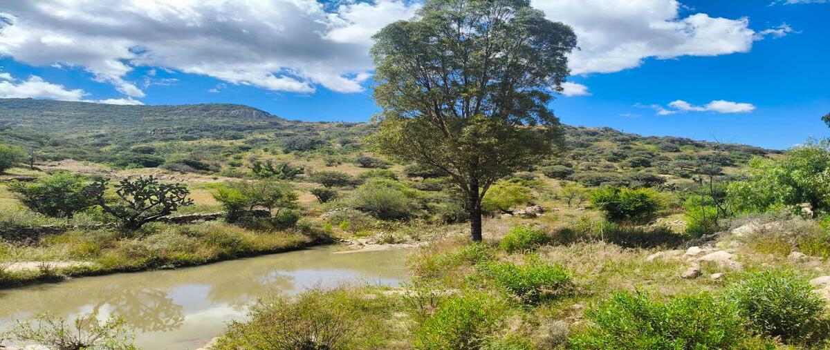 Foto de terreno comercial en , tierra blanca, el marqués, querétaro, 0 foto 01 Foto de terreno comercial en venta en , tierra blanca, el marqués, querétaro, 0 No. 01