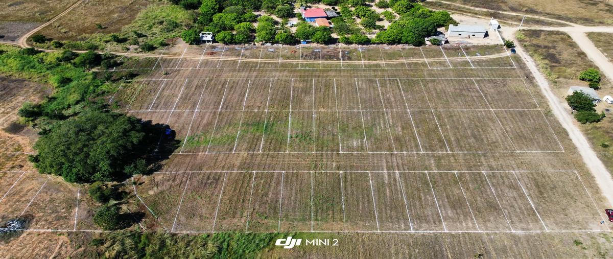 Foto de terreno habitacional en venta en tierra blanca , puerto escondido (puerto escondido), san pedro mixtepec -dto. 22 -, oaxaca, 29062506 No. 03