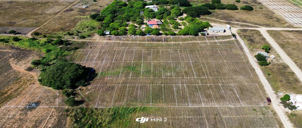 Foto de terreno habitacional en venta en tierra blanca , puerto escondido (puerto escondido), san pedro mixtepec -dto. 22 -, oaxaca, 29062506 No. 04