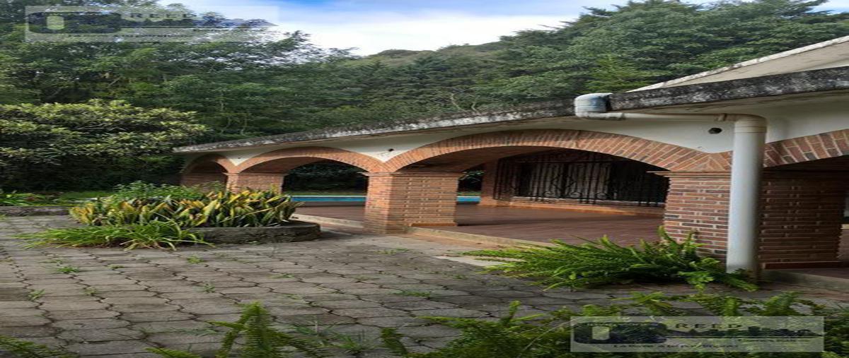 Foto de casa en , tierra blanca, tenancingo, méxico, 7091157 foto 04 Foto de casa en venta en , tierra blanca, tenancingo, méxico, 7091157 No. 04