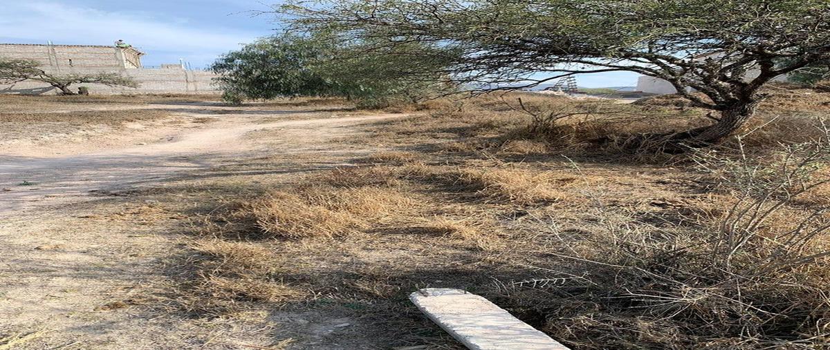 Foto de terreno habitacional en tierra blanca , tierra blanca, tequisquiapan, querétaro, 0 foto 03 Foto de terreno habitacional en venta en tierra blanca , tierra blanca, tequisquiapan, querétaro, 0 No. 03