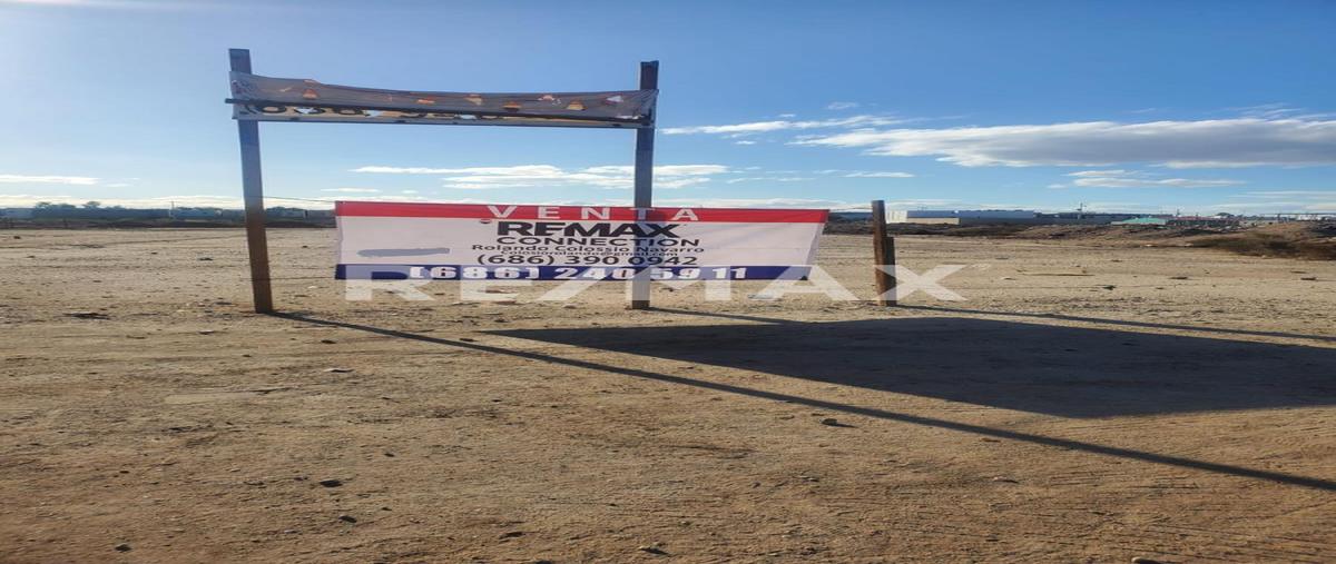 Foto de terreno comercial en venta en tierra calida , nuevo amanecer, mexicali, baja california, 0 No. 03