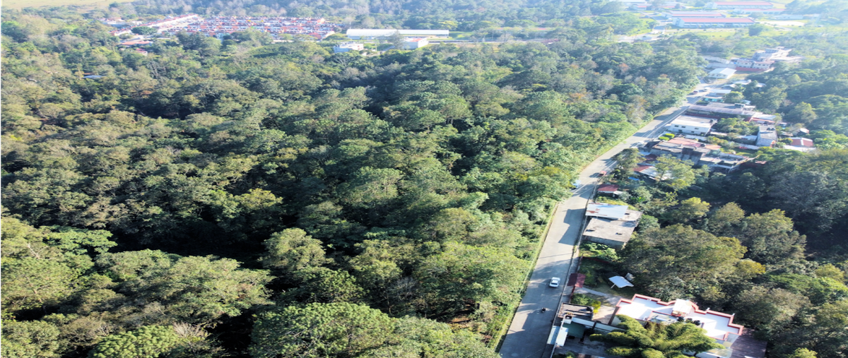 Foto de terreno habitacional en venta en  , tierra negra, xicotepec, puebla, 25945895 No. 04