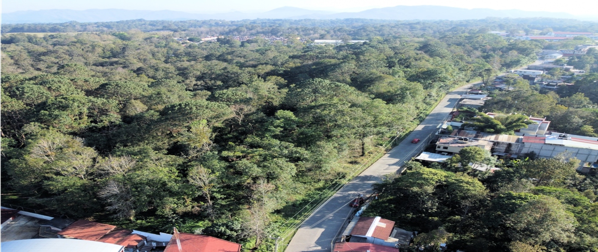 Foto de terreno habitacional en venta en  , tierra negra, xicotepec, puebla, 25945895 No. 05