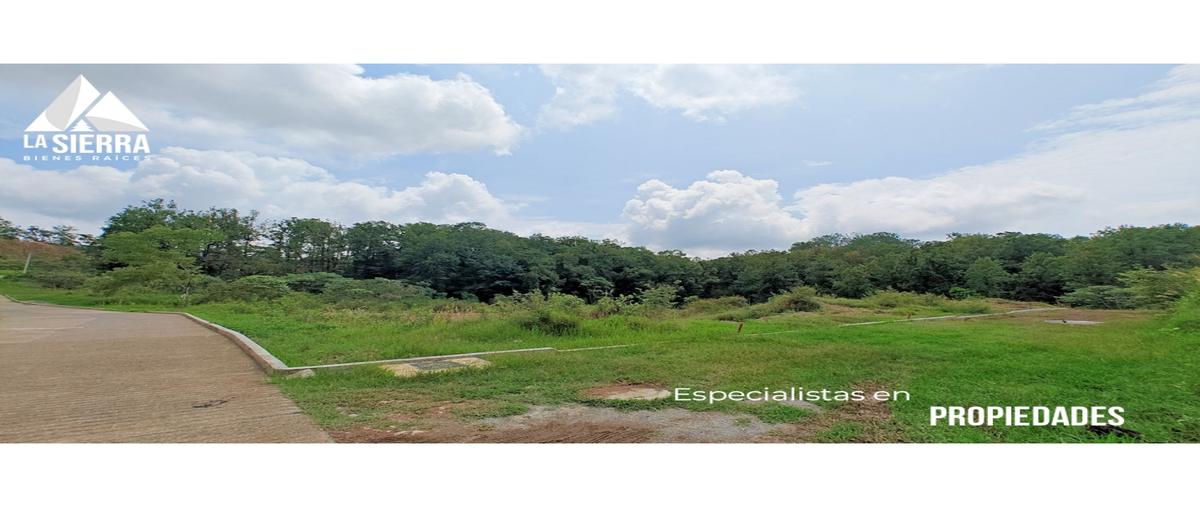 Foto de terreno habitacional en , tierra negra, xicotepec, puebla, 0 foto 04 Foto de terreno habitacional en venta en , tierra negra, xicotepec, puebla, 0 No. 04