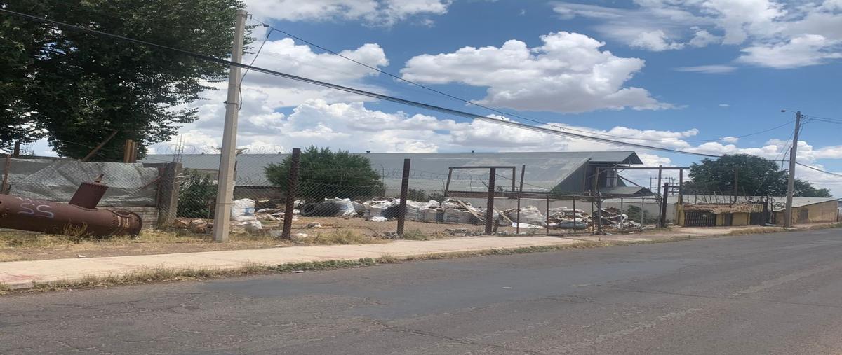 Foto de terreno habitacional en , tierra nueva, cuauhtémoc, chihuahua, 26884351 foto 03 Foto de terreno habitacional en renta en , tierra nueva, cuauhtémoc, chihuahua, 26884351 No. 03
