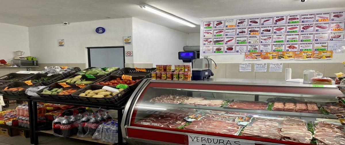 Foto de local en venta en  , tierra propia sector 1, guadalupe, nuevo león, 0 No. 03