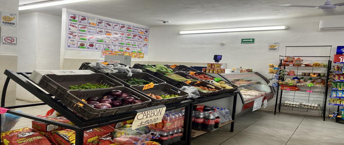 Foto de local en venta en  , tierra propia sector 1, guadalupe, nuevo león, 0 No. 04