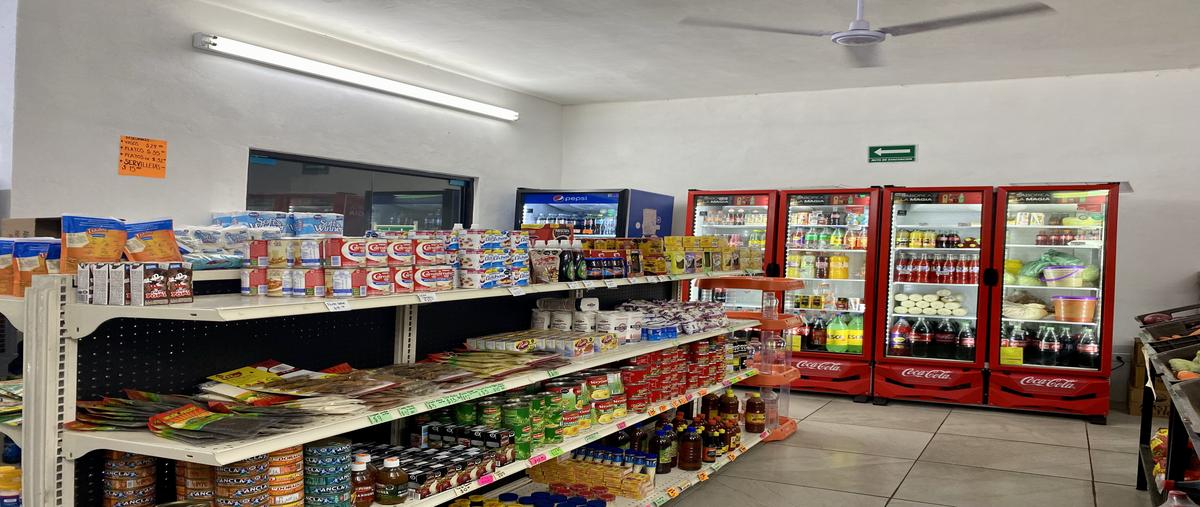 Foto de local en venta en  , tierra propia sector 1, guadalupe, nuevo león, 0 No. 05