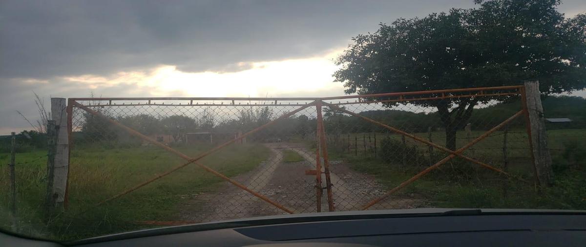 Foto de terreno habitacional en venta en  , tierras coloradas, montemorelos, nuevo león, 29279822 No. 03