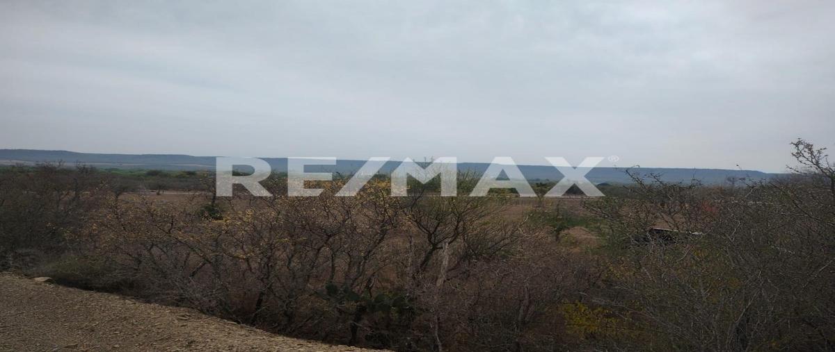 Foto de terreno habitacional en tierras coloradas , tierras coloradas, montemorelos, nuevo león, 0 foto 03 Foto de terreno habitacional en venta en tierras coloradas , tierras coloradas, montemorelos, nuevo león, 0 No. 03