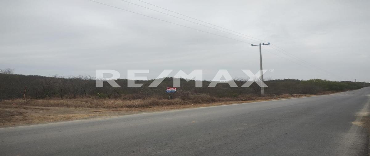 Foto de terreno habitacional en tierras coloradas , tierras coloradas, montemorelos, nuevo león, 0 foto 04 Foto de terreno habitacional en venta en tierras coloradas , tierras coloradas, montemorelos, nuevo león, 0 No. 04