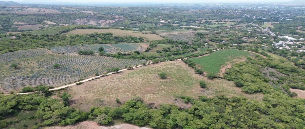 Foto de terreno habitacional en venta en tilzapotla , tilzapotla, puente de ixtla, morelos, 0 No. 04