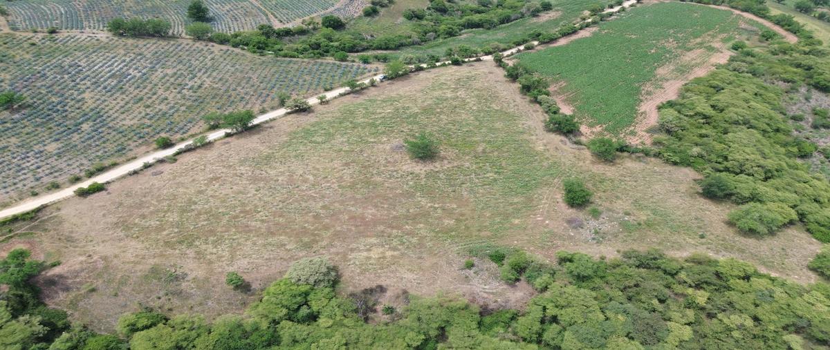 Foto de terreno habitacional en venta en tilzapotla , tilzapotla, puente de ixtla, morelos, 0 No. 05