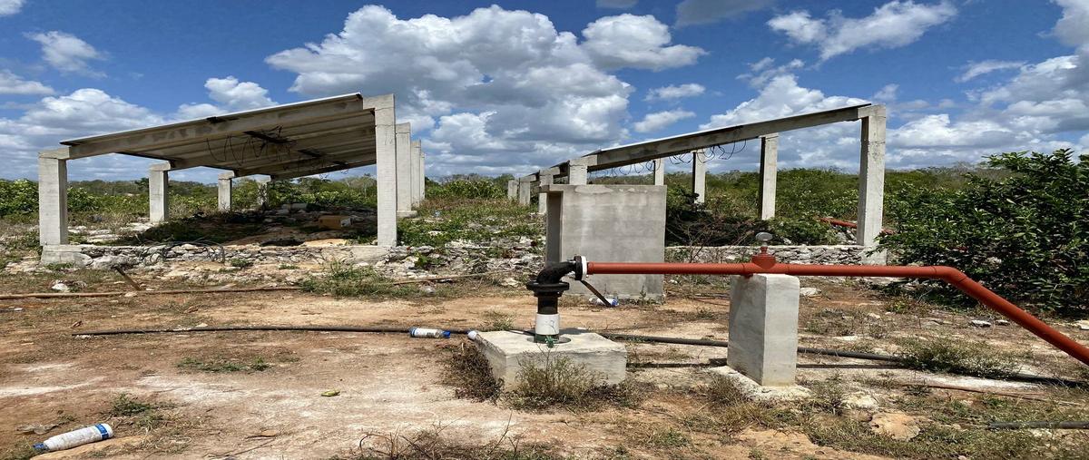 Foto de rancho en venta en timul , tixcacaltuyub, yaxcabá, yucatán, 25910060 No. 05