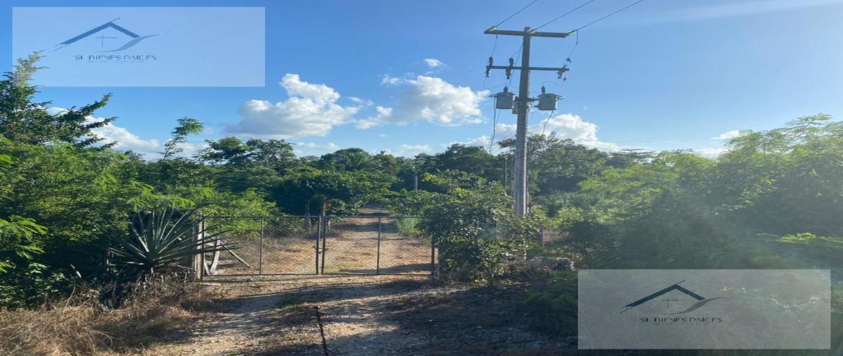 Foto de rancho en venta en  , tinum, tinum, yucatán, 0 No. 04