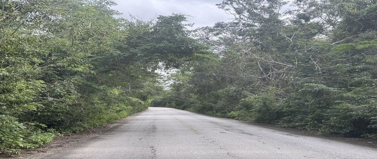 Foto de terreno habitacional en venta en  , tinum, tinum, yucatán, 30695195 No. 05