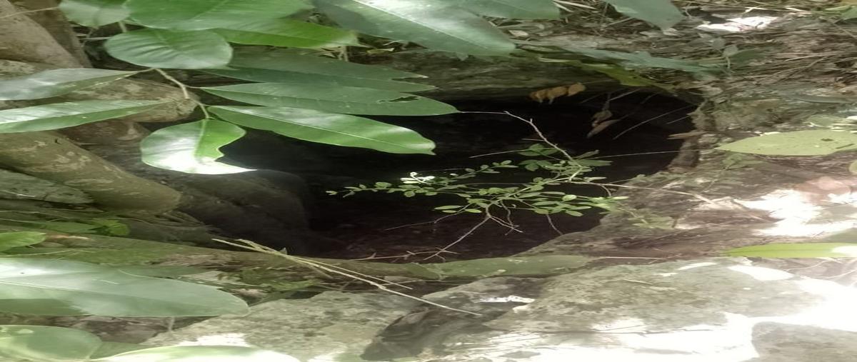 Foto de terreno habitacional en , tinum, tinum, yucatán, 0 foto 03 Foto de terreno habitacional en venta en , tinum, tinum, yucatán, 0 No. 03