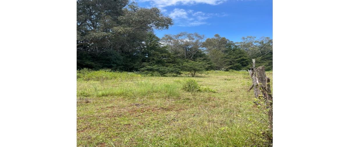 Foto de terreno habitacional en venta en  , tirio, morelia, michoacán de ocampo, 0 No. 03