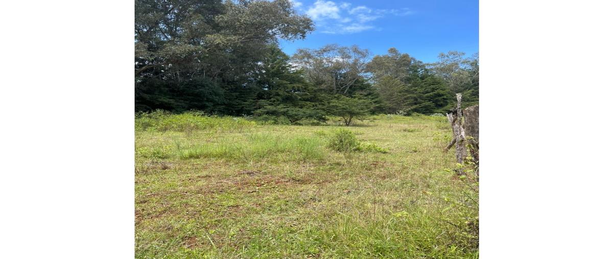 Foto de terreno habitacional en venta en  , tirio, morelia, michoacán de ocampo, 0 No. 04