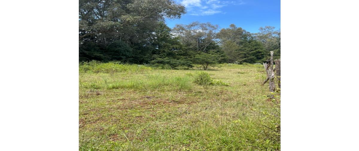 Foto de terreno habitacional en venta en  , tirio, morelia, michoacán de ocampo, 0 No. 05