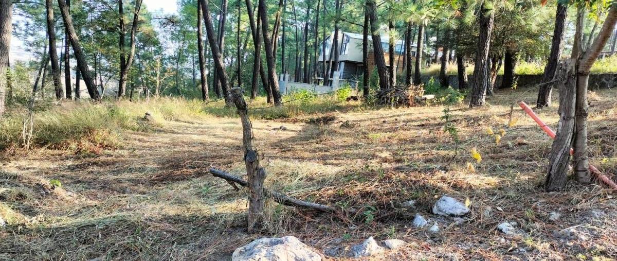 Foto de terreno habitacional en venta en  , tirio, morelia, michoacán de ocampo, 0 No. 05