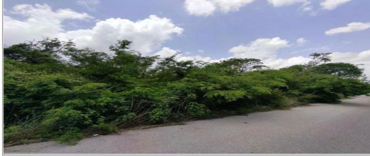 Foto de terreno habitacional en venta en  , tixcacal opichen, mérida, yucatán, 0 No. 05