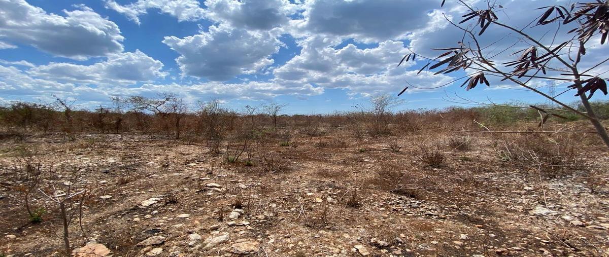 Foto de terreno habitacional en , tixcacal opichen, mérida, yucatán, 28195134 foto 04 Foto de terreno habitacional en venta en , tixcacal opichen, mérida, yucatán, 28195134 No. 04