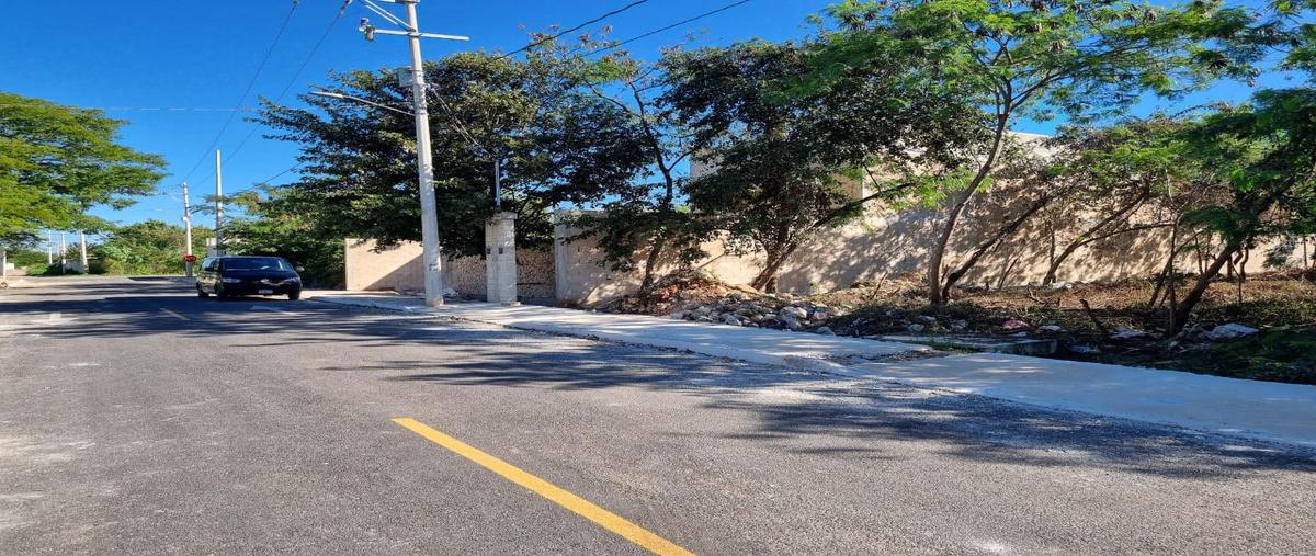 Foto de terreno habitacional en venta en  , tixcacal opichen, mérida, yucatán, 28588704 No. 03