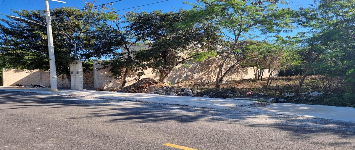 Foto de terreno habitacional en venta en  , tixcacal opichen, mérida, yucatán, 28588704 No. 04