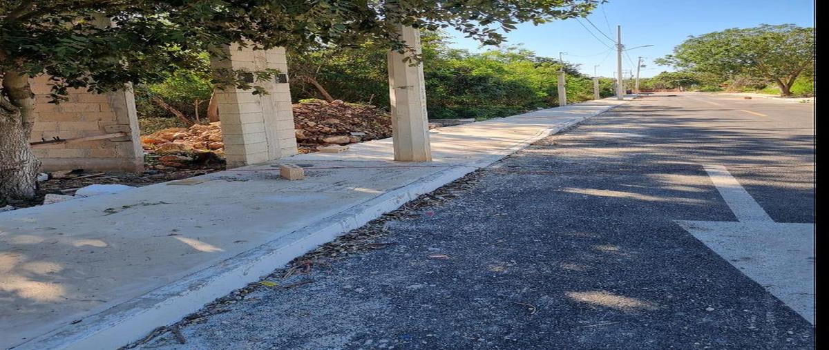 Foto de terreno habitacional en venta en  , tixcacal opichen, mérida, yucatán, 28588704 No. 05