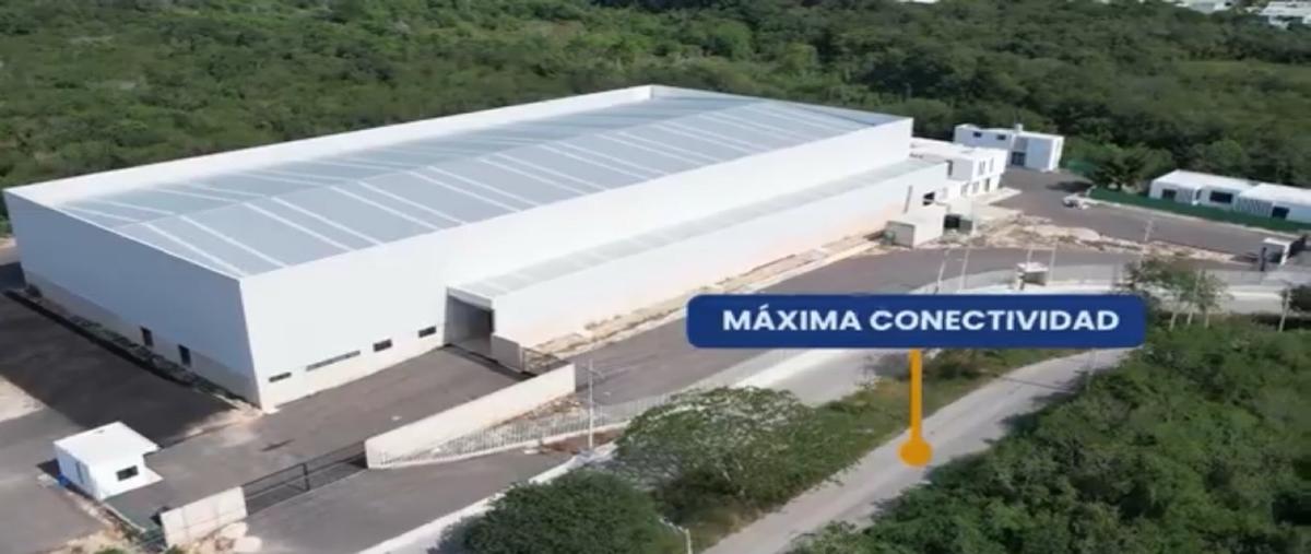 Foto de local en venta en  , tixcacal opichen, mérida, yucatán, 29335969 No. 04