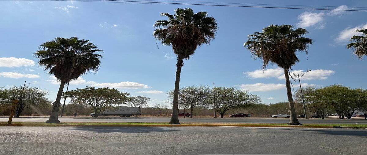 Foto de terreno habitacional en venta en  , tixcacal opichen, mérida, yucatán, 0 No. 03