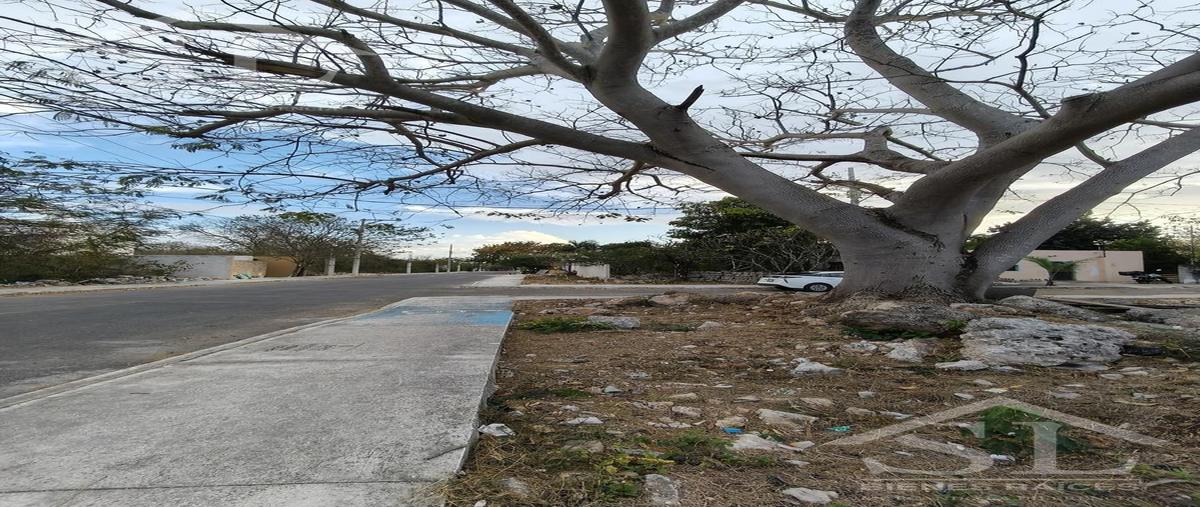 Foto de terreno habitacional en venta en  , tixcacal opichen, mérida, yucatán, 0 No. 04