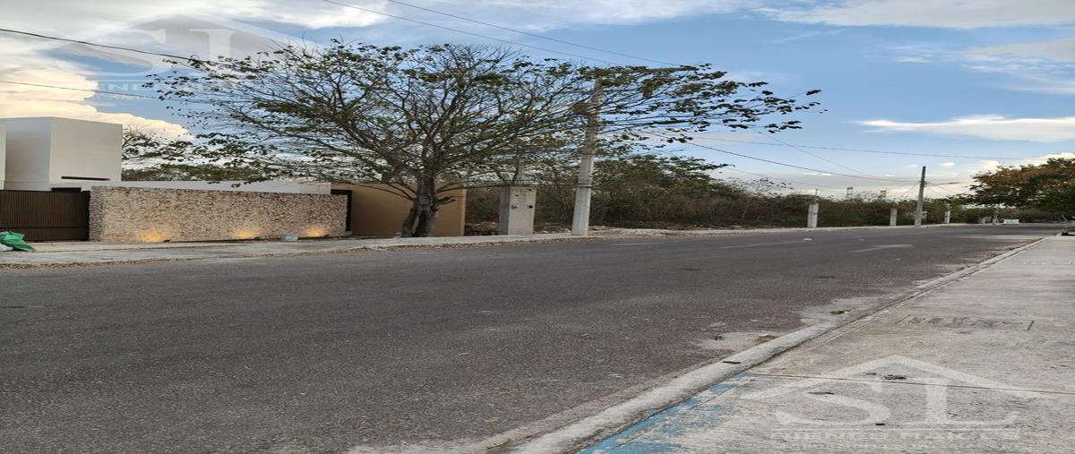 Foto de terreno habitacional en venta en  , tixcacal opichen, mérida, yucatán, 0 No. 05