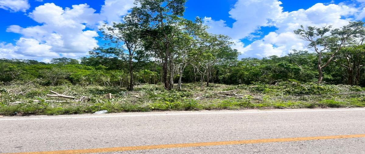 Foto de terreno habitacional en , tixcacalcupul, tixcacalcupul, yucatán, 28837838 foto 03 Foto de terreno habitacional en venta en , tixcacalcupul, tixcacalcupul, yucatán, 28837838 No. 03