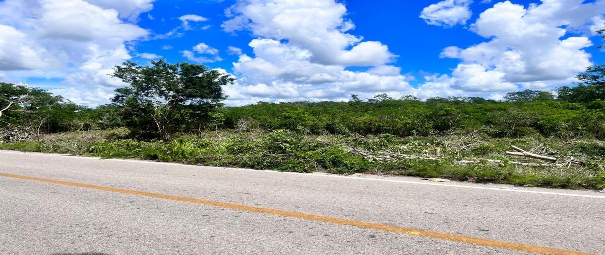 Foto de terreno habitacional en , tixcacalcupul, tixcacalcupul, yucatán, 28837838 foto 05 Foto de terreno habitacional en venta en , tixcacalcupul, tixcacalcupul, yucatán, 28837838 No. 05