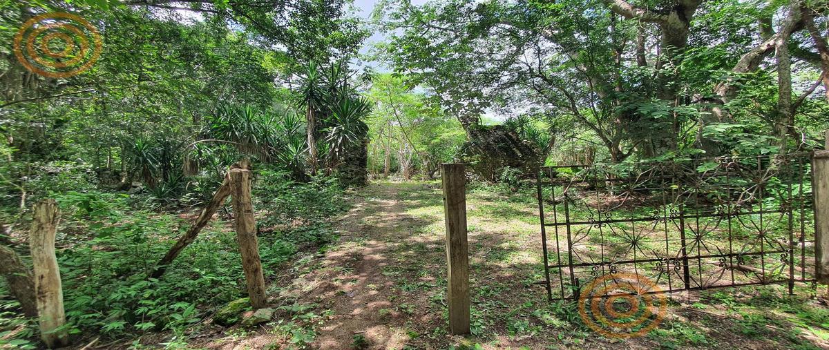 Foto de rancho en venta en  , tixcacalcupul, tixcacalcupul, yucatán, 30552235 No. 04