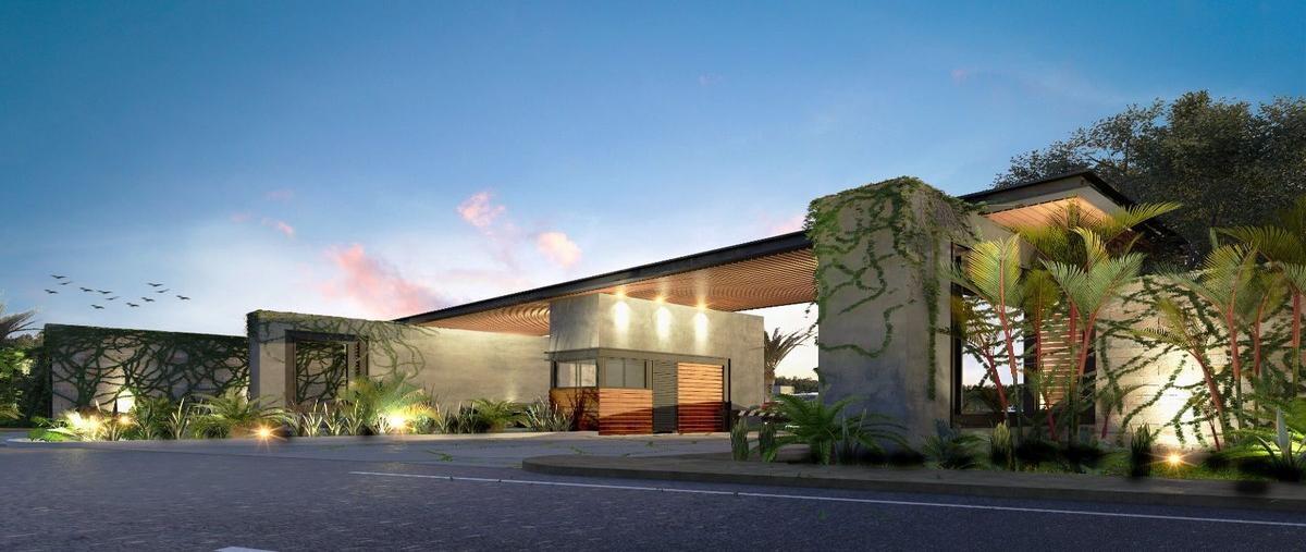 Foto de terreno habitacional en , tixcuytun, tekax, yucatán, 0 foto 03 Foto de terreno habitacional en venta en , tixcuytun, tekax, yucatán, 0 No. 03