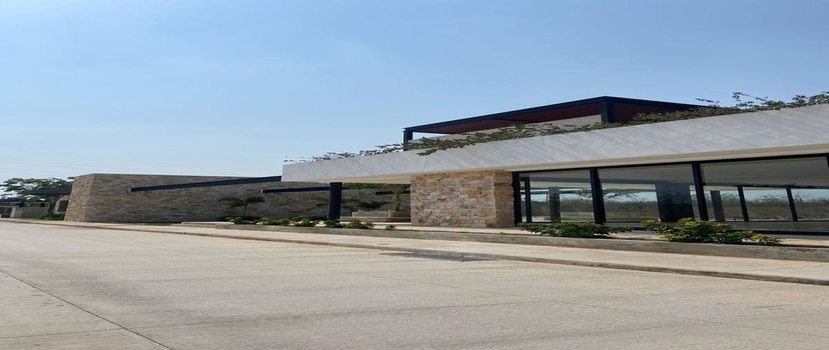 Foto de terreno habitacional en , tixcuytun, tekax, yucatán, 0 foto 05 Foto de terreno habitacional en venta en , tixcuytun, tekax, yucatán, 0 No. 05